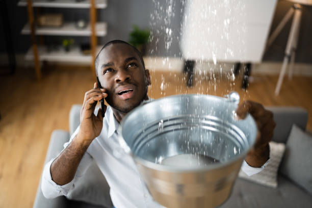 Best 24/7 water damage repair  in Bloomfield, MO