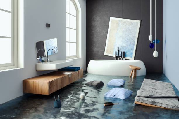 Best Flooded house restoration  in Bloomfield, MO