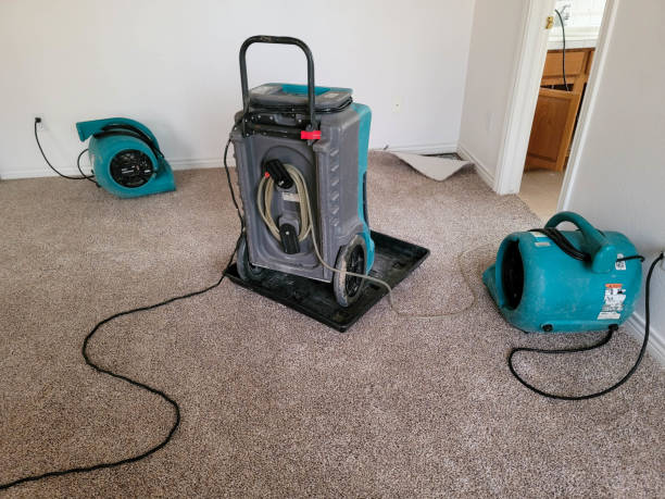 Best Water damage cleanup near me  in Bloomfield, MO