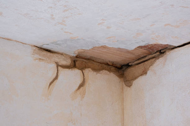 Best Water damage restoration near me  in Bloomfield, MO