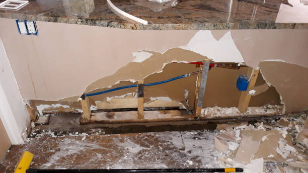 Best Water damage contractors near me  in Bloomfield, MO