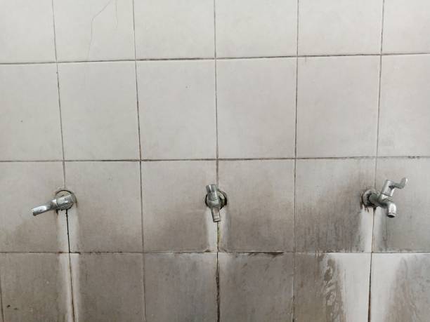 Best 24-hour water damage restoration  in Bloomfield, MO