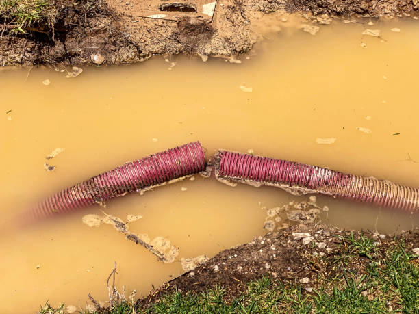 Water damage restoration process in Bloomfield, MO