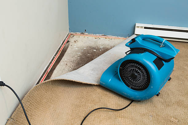Best Water damage restoration insurance claims  in Bloomfield, MO